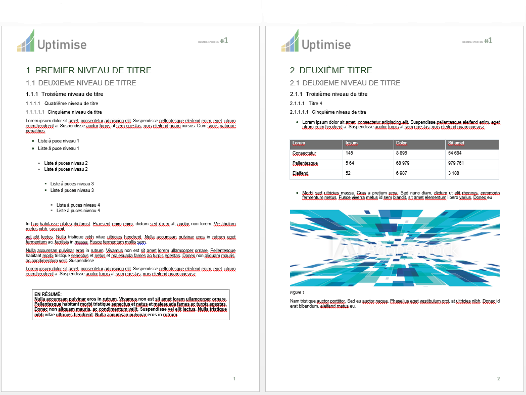 Modèle word et feuille de styles template